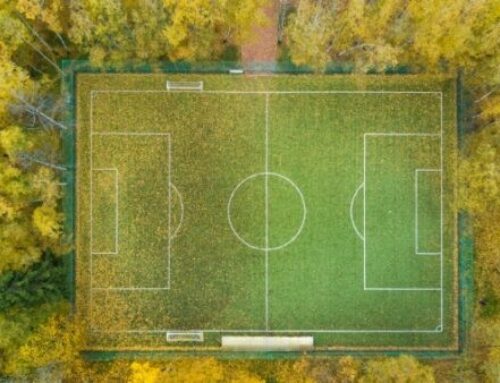 1500 voetbalvelden aan bos per dag. Mede dankzij papier en karton