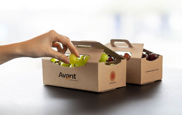 Fruit verpakken - Stichting belangenbehartiging Nederlandse golfkartonindustrie
