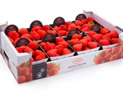 Slim, duurzaam en veilig fruit verpakken zonder plastic: golfkarton!