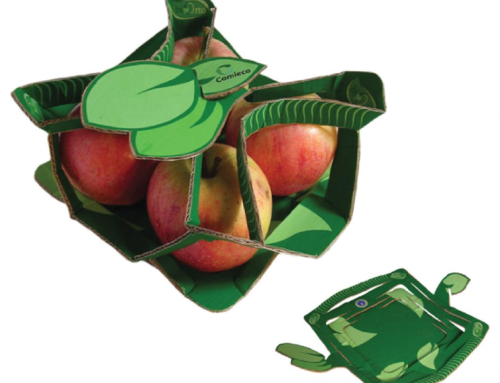 Bijzondere fruitverpakking van golfkarton